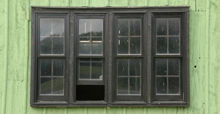 black windows on green barn