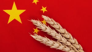 Three heads of wheat on a China flag