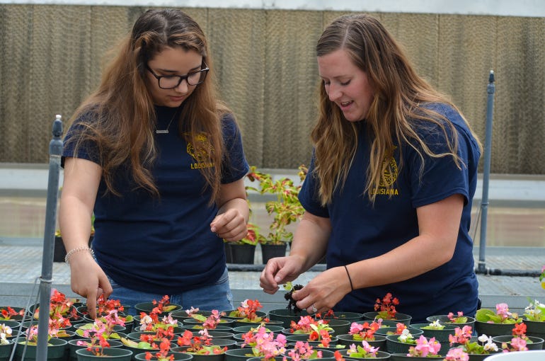 Lindsey O’Hara, first-year FFA Advisor, helping Jaidyn Wommack with plants