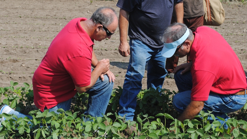 Farmers in field looking at soil and crops