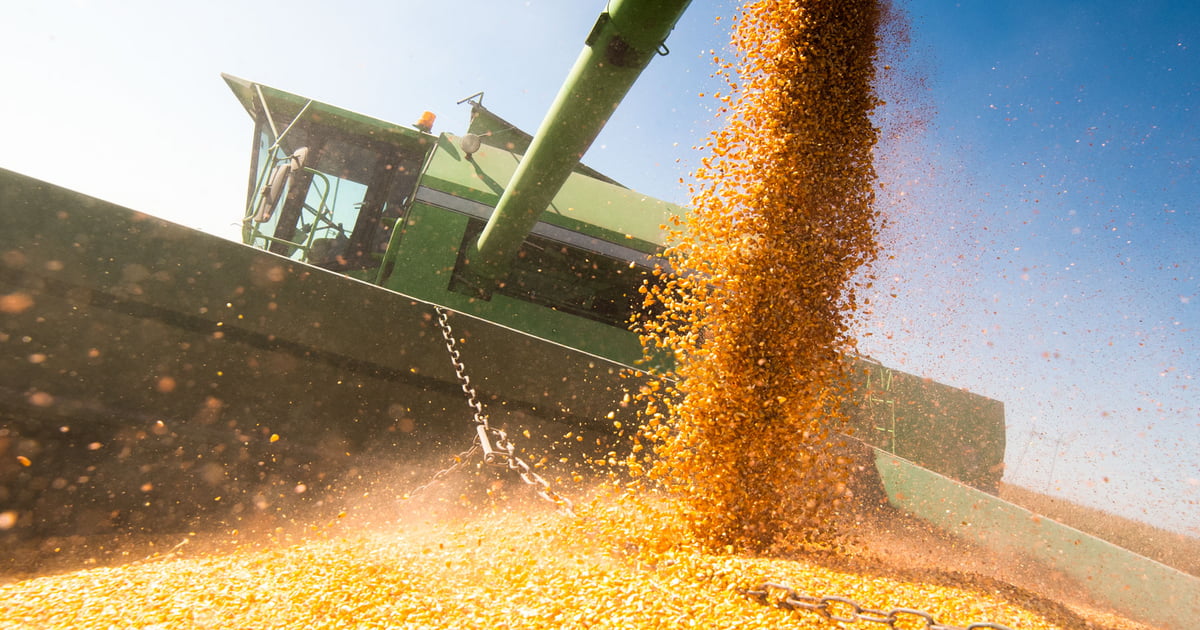 Corn selling range hits $5 to $5.40 as yields drop