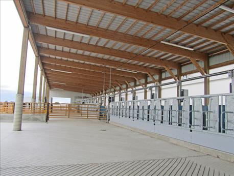 5_things_miss_new_sdsu_beef_barn_2_636116940692537399.jpg 5_things_miss_new_sdsu_beef_barn_2_636116940692537399.jpg