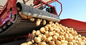 Close up of potato harvest equipment