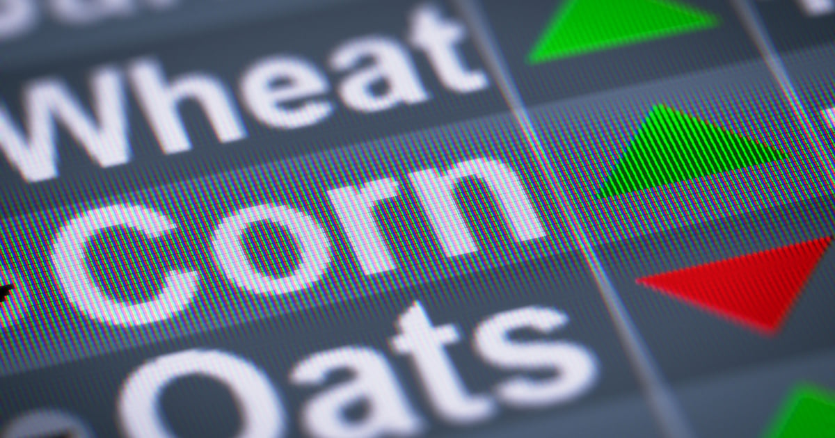 $5 corn shows staying power