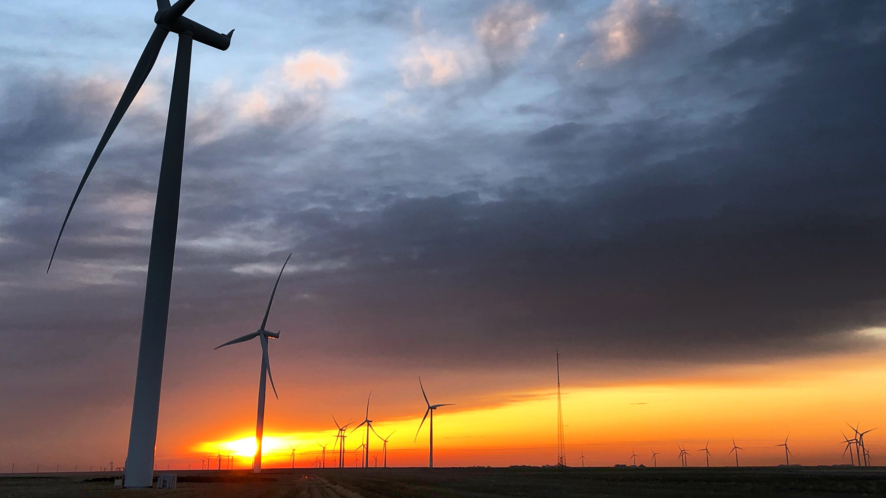 TOP 10 BEST Monday Farmers Market near E 7th St, Long Beach, CA - Updated  2026 - Yelp, image size:1280x720