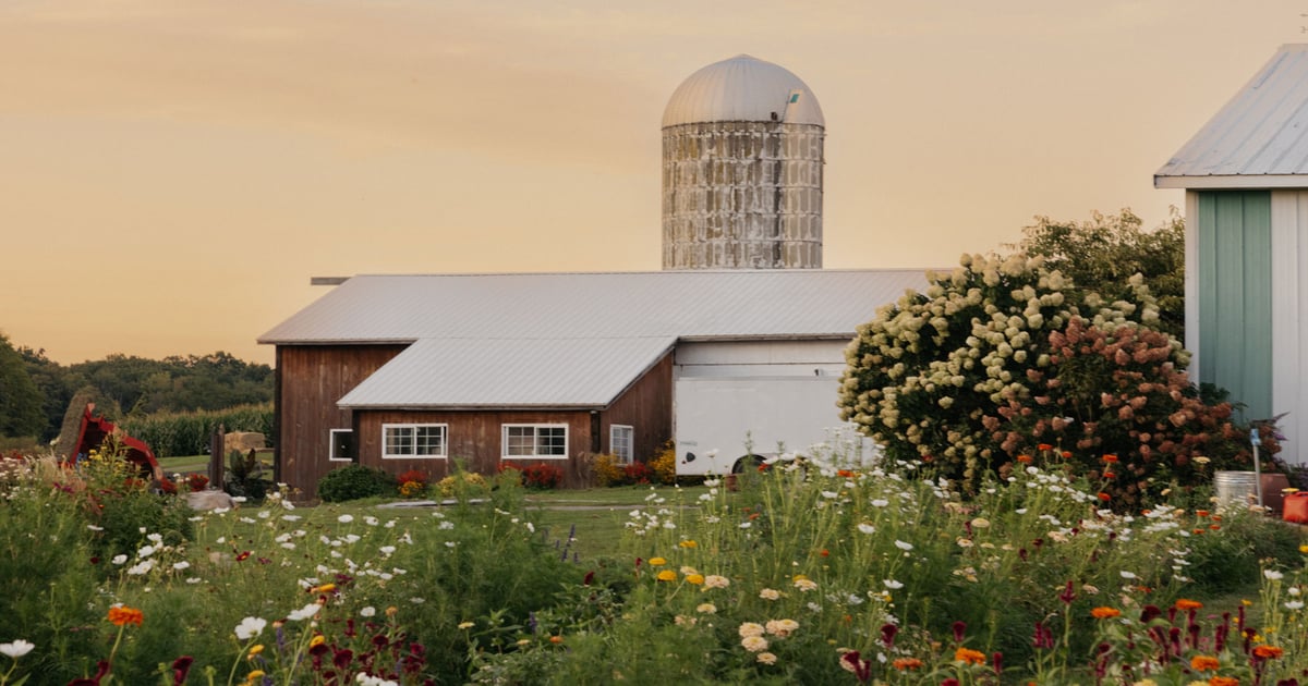How to get up to $10,000 for your farm stay startup