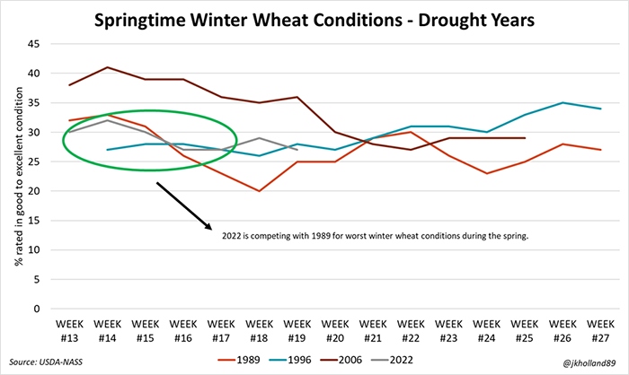 Springtime winter wheat conditions