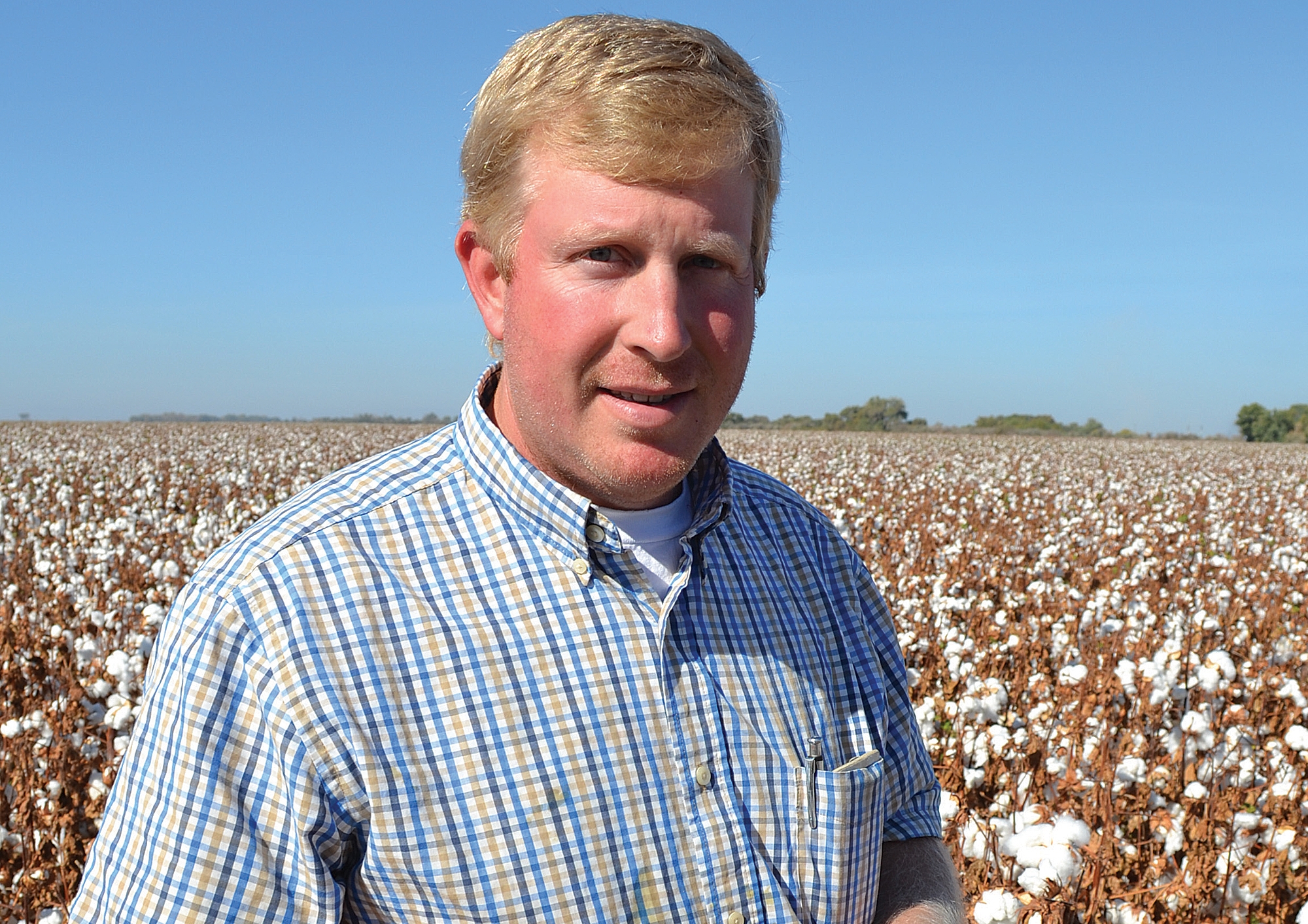 Mid Season Pest Management in Cotton, 2012 Style - IPM in field
