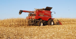 combine in field harvesting corn