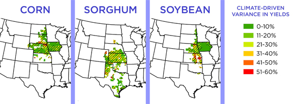 Study: Climate’s effect on yields varies by crop, location