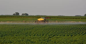 sprayer driving through field spraying beans