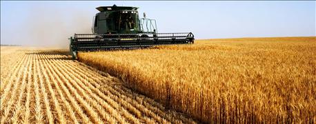 wheat_harvest_2016_good_yields_test_weights_kansas_oklahoma_1_636017471980862606.jpg