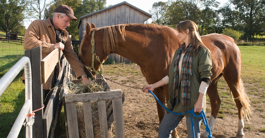 couple feeding horse on farm