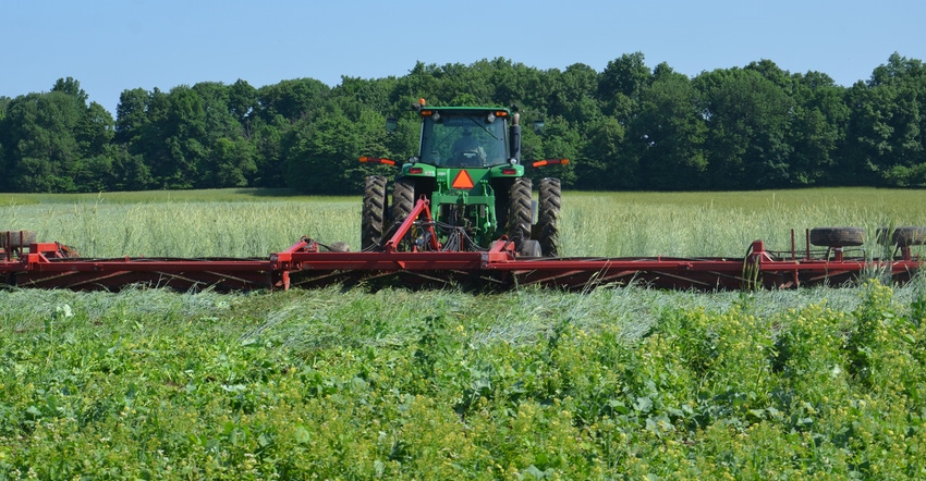 crimping cover crops