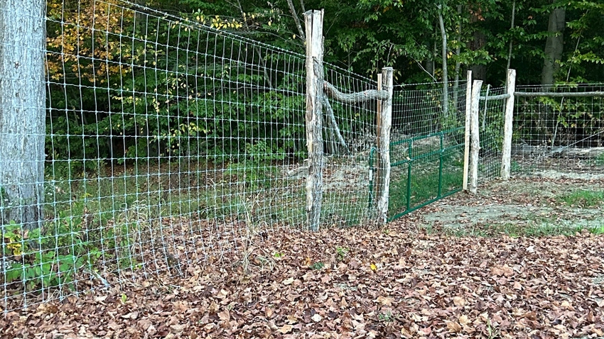A woven fence at the edge of a property line