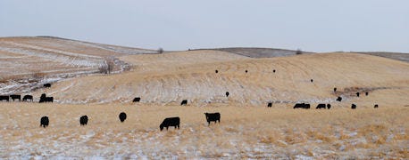 unl_offers_special_session_winter_drought_management_tips_1_634873778091174163.jpg