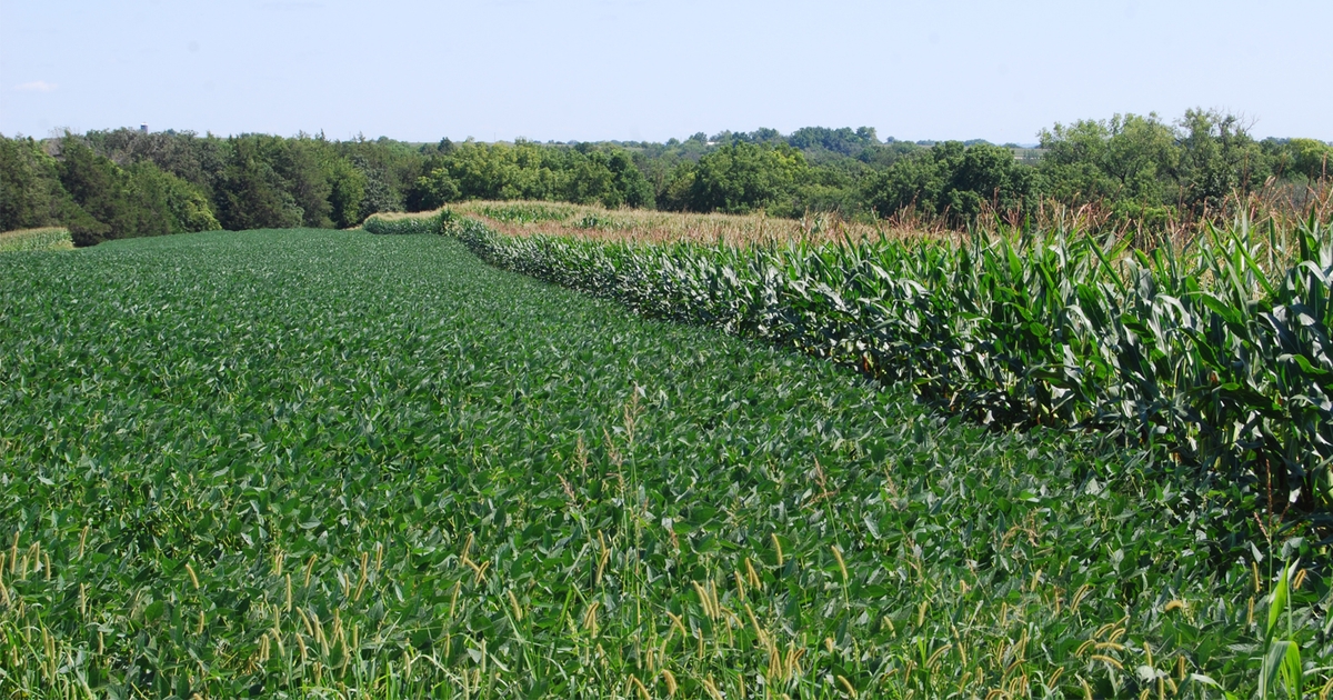 A closer look at farmland leasing trends