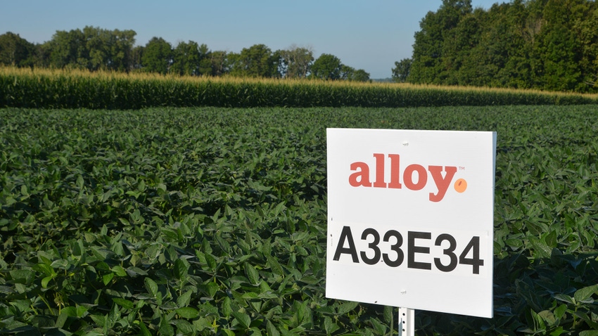 An Alloy sign posted in a soybean field