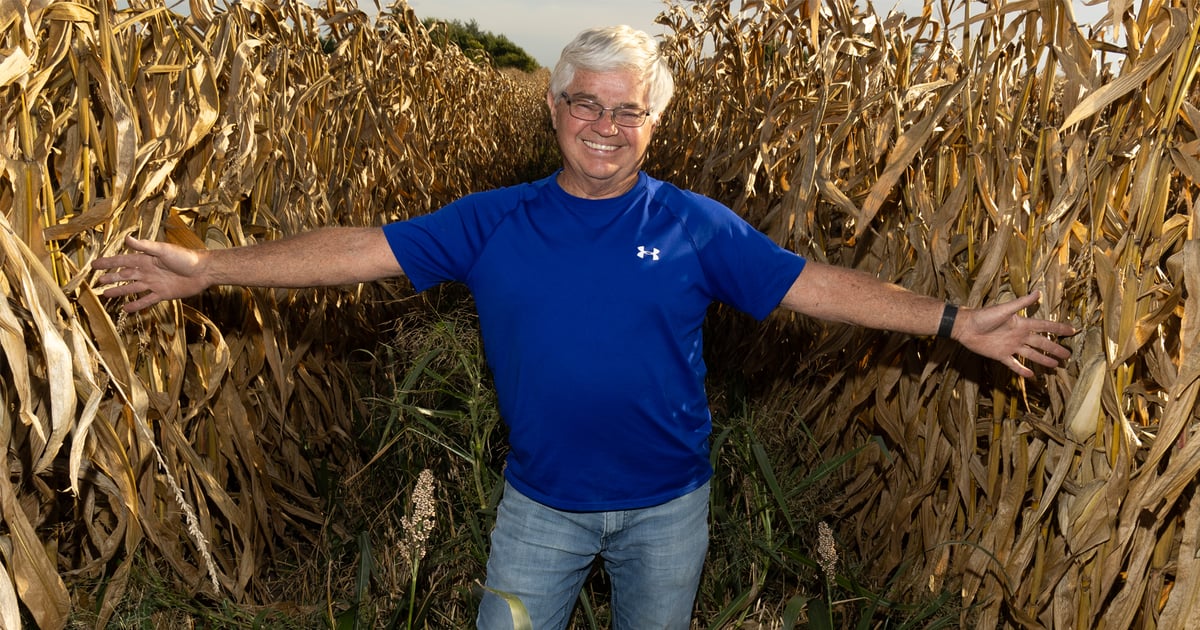 Wide-row corn opens up possibilities to boost income