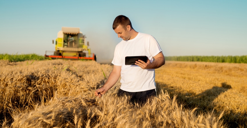 Farmer in wheat field with tablet