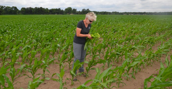 Track tissue samples from field to computer | Farm Progress