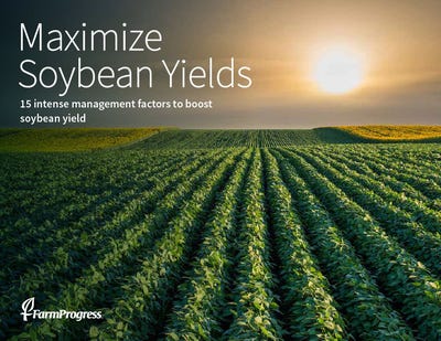 how to maximize soybean yield