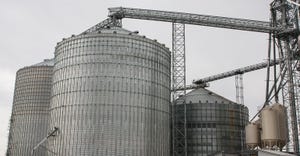 Trucks haul grain to grain silos and elevators