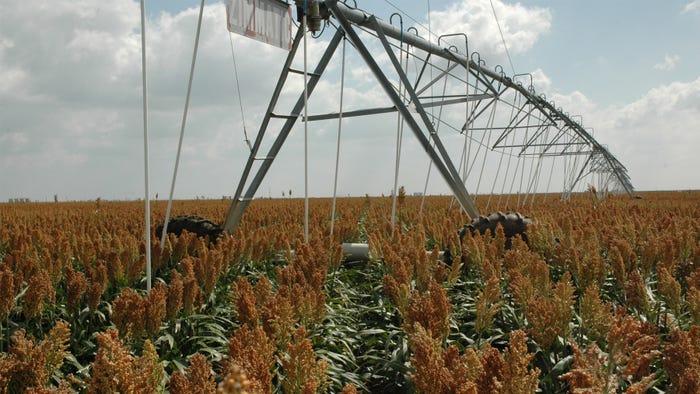 Irrigation equipment in sorghum/corn field