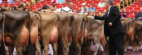 world_dairy_expo_announces_dairy_cattle_show_leadership_positions_1_635658502170030663.jpg