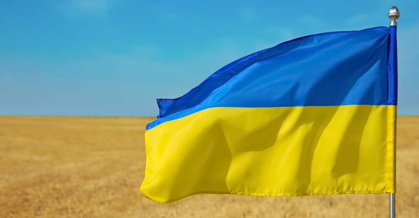 National flag of Ukraine in wheat field against blue sky