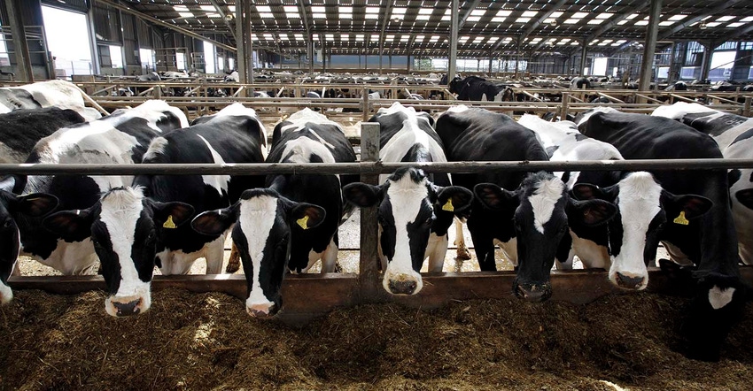 Dairy-Andrew Fox-GettyImages-522015274-SIZED.jpg Dairy-Andrew Fox-GettyImages-522015274-SIZED.jpg