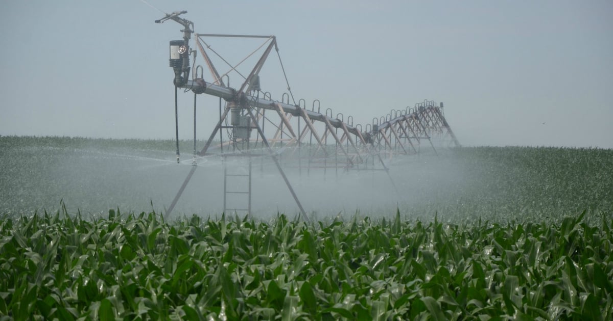 Tricks of the trade for deficit irrigation