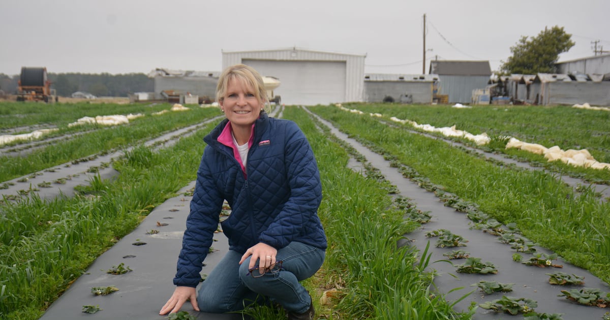 Why farmers need certified crop consultants
