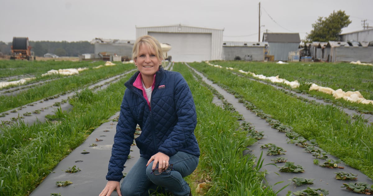 Why farmers need certified crop consultants