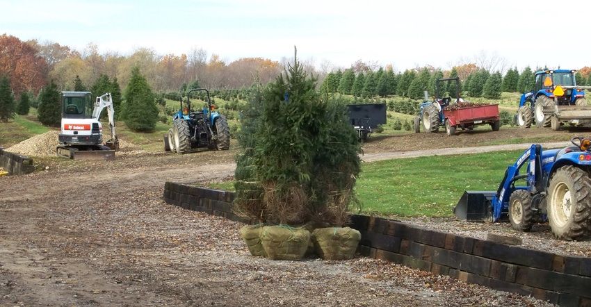 McConnell Nursery tree farm