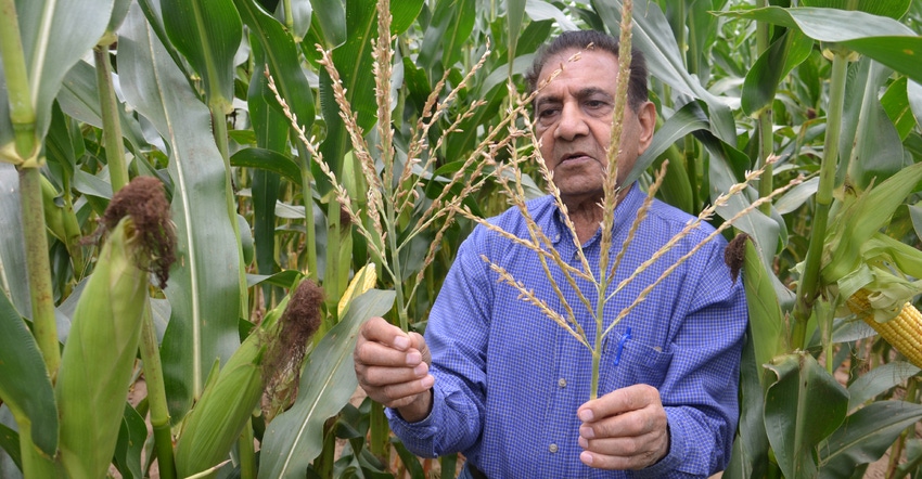Dave Nanda standing in cornfield