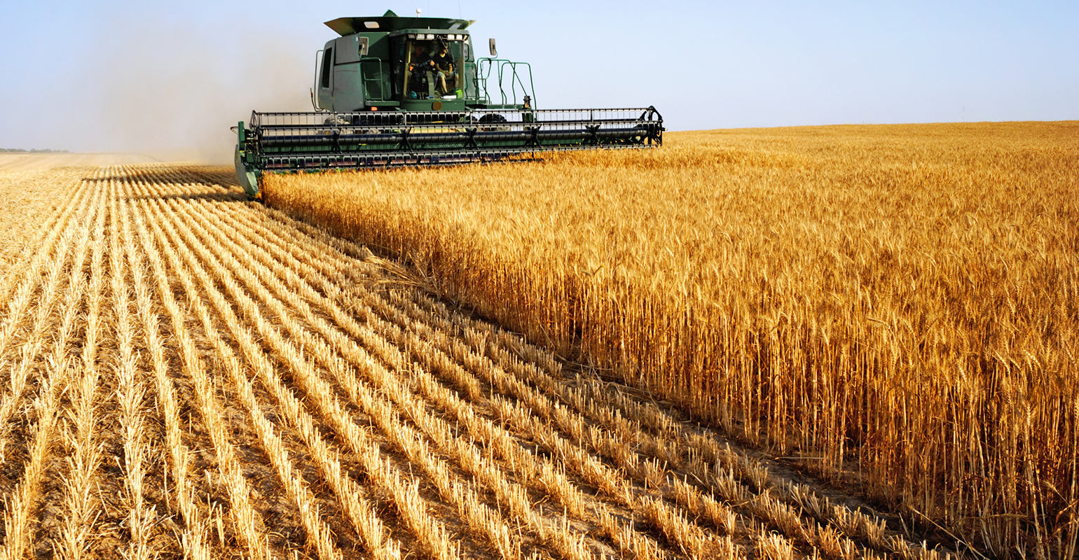 4 lessons from 2017 wheat crop