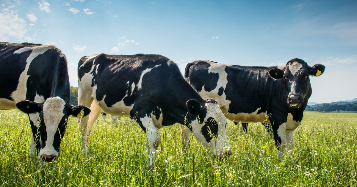 2 Wisconsin farmers appointed to National Dairy Board