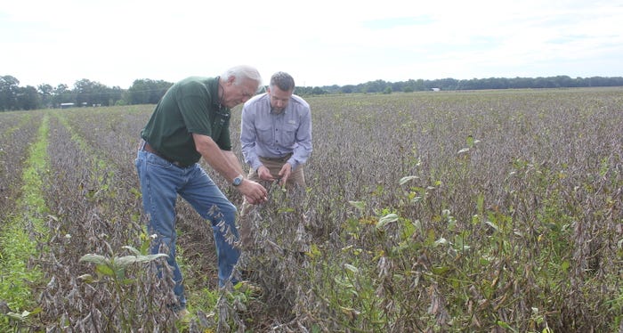 Dewey Donnell David Mosely Look at Soybeans