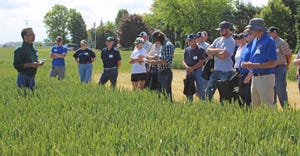MSU researcher Dr. Manni Singh explains the various considerations that affect the wheat plant canopy cover and process 