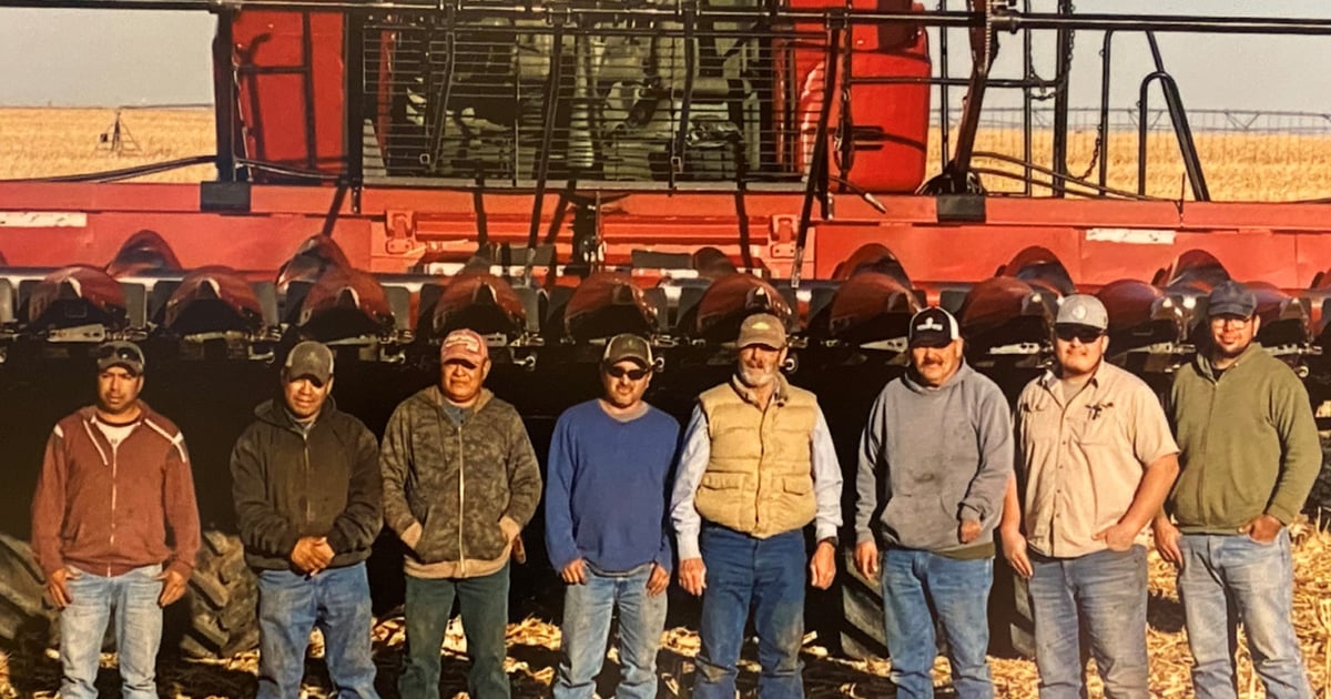 Corn contest lessons aid overall acreage