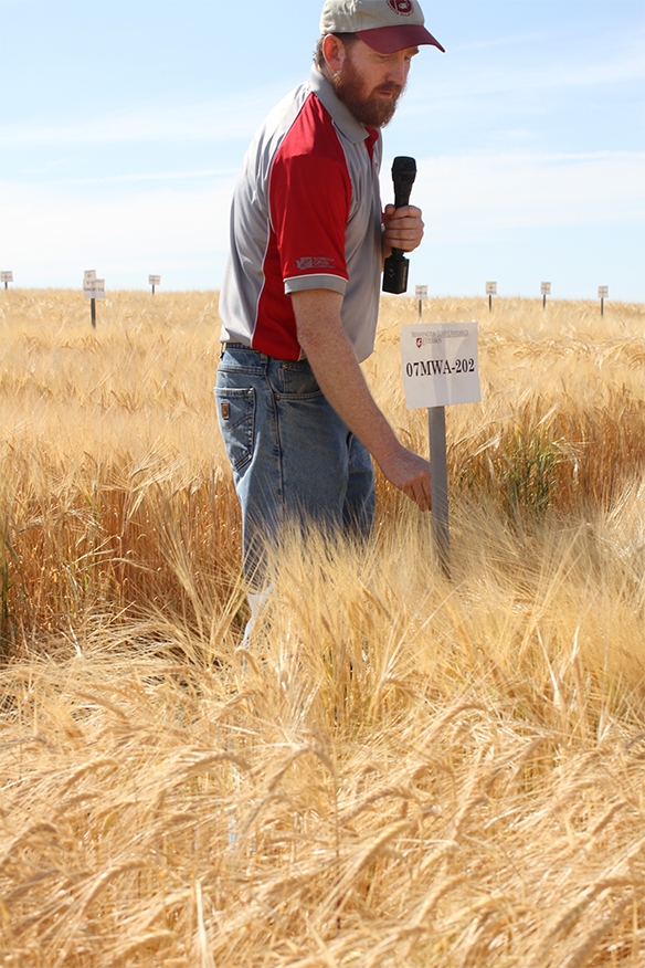 Barley program matches craft brew needs