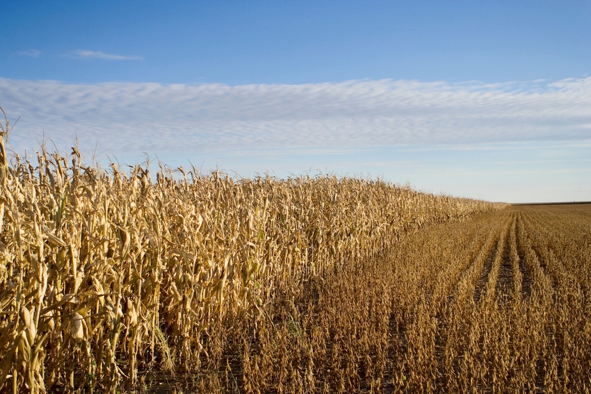 corn-soybeans-harvest-93267283.jpg corn-soybeans-harvest-93267283.jpg