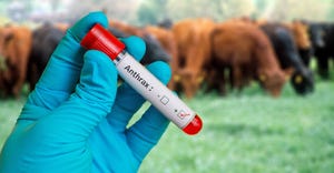 test tube labeled anthrax with blurred cattle behind