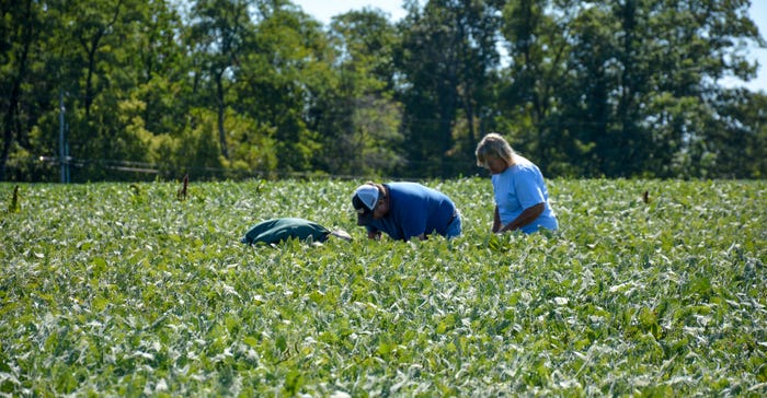 A tour team checks soybean fields at the Charlie Bomgardner farm just outside Annville, Pa.