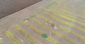 aerial drone view of soybean field