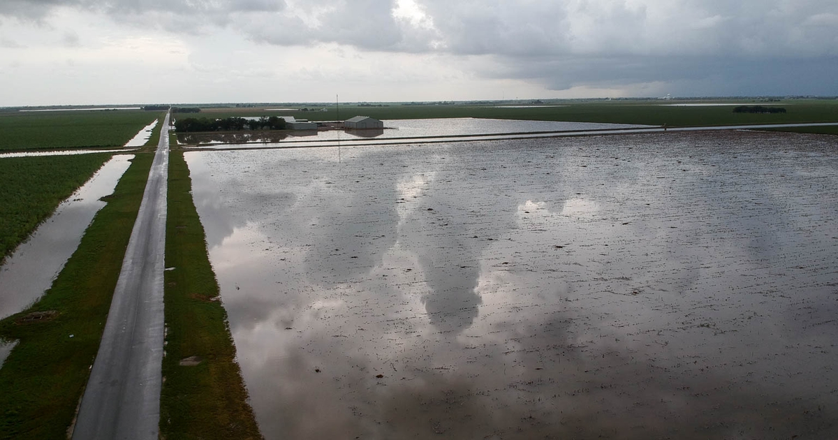 Hurricane Hanna causes over $366 million in damages to South Texas ag