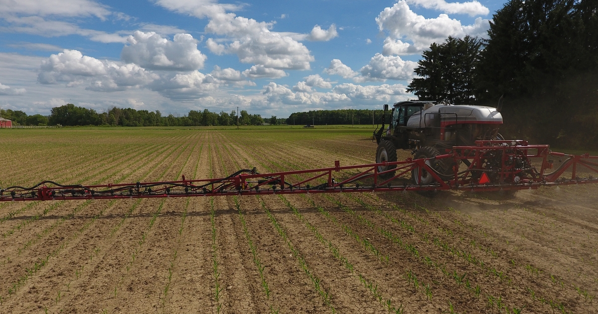 Develop a herbicide program that beats weeds