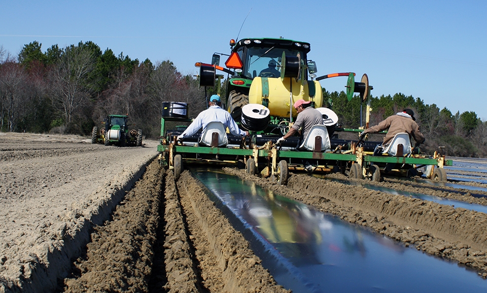 US and Guatemala sign memorandum to improve H2A