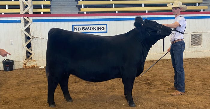 Paden Gilbert poses with his Angus heifer in the Coliseum at the Missouri State Fair